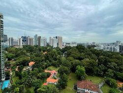 Scotts Highpark (D9), Condominium #569719581